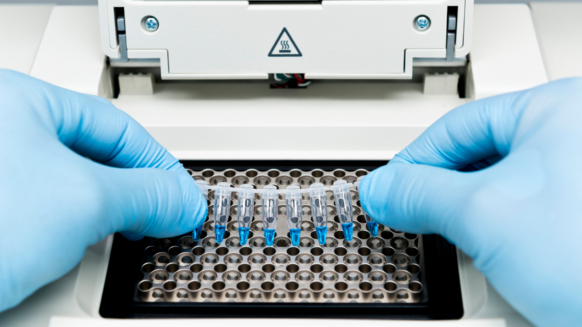 Ricerca biotecnologica